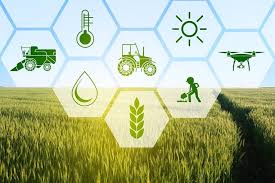 Industria Agropecuario